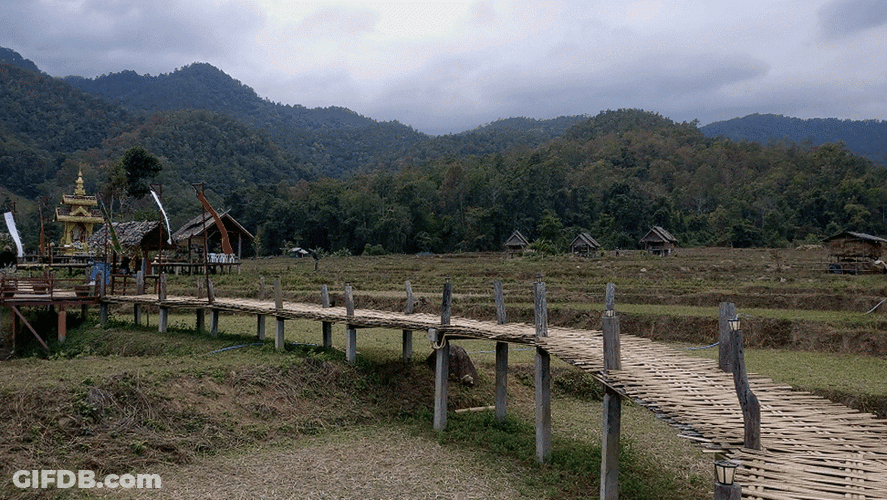Bamboo Pathway GIF