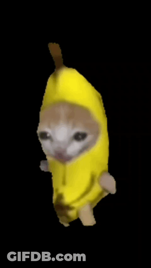 Banana Cat Meme Exercising GIF