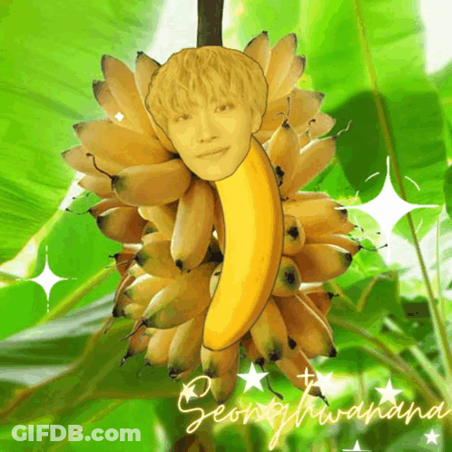 Banana Face Drawing With Name Seonghwayana GIF