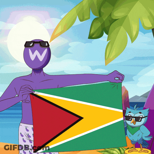 Bandera Drapeau GIF