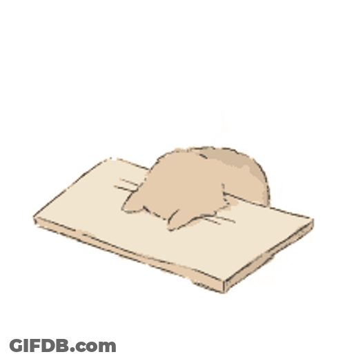 Bang Head Cat Table GIF