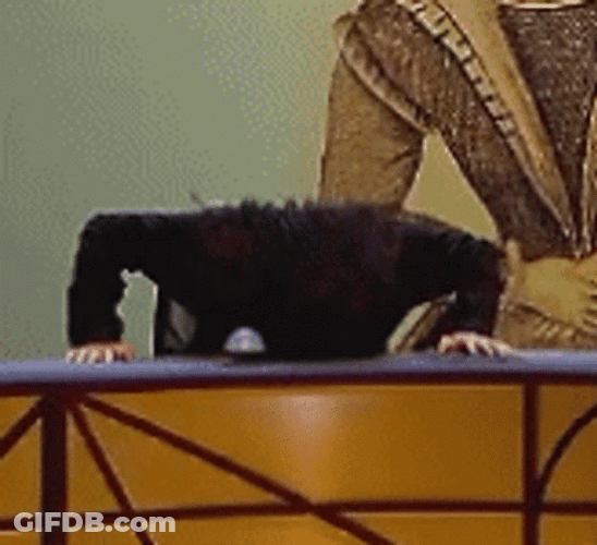 Bang Head On Desk GIF