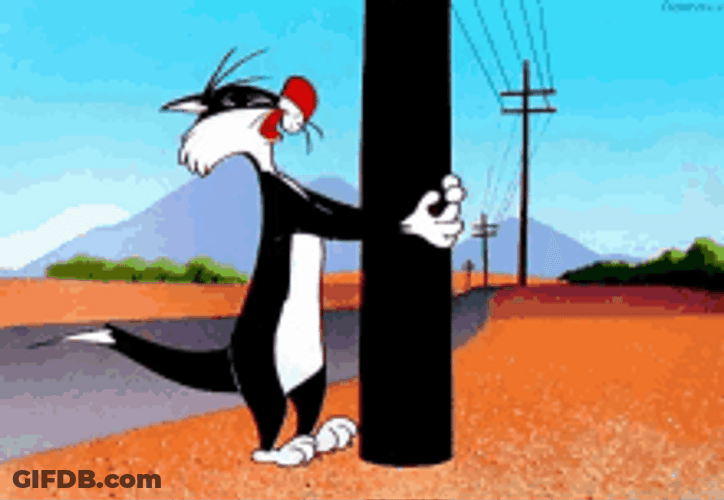 Bang Head Post Sylvester Frustrated Template Format GIF