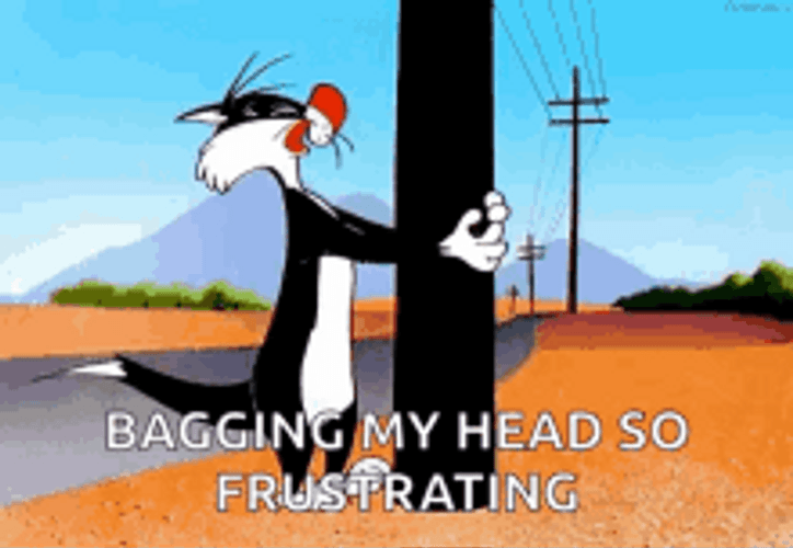 Bang Head Post Sylvester My Head So Frustrating GIF