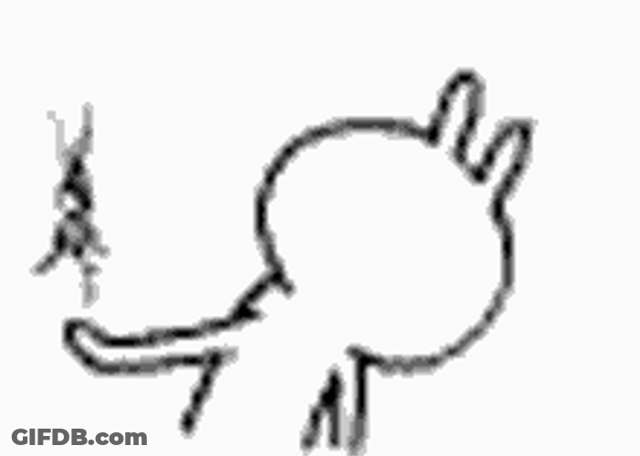 Bang Head Rabbit Cracked Wall GIF