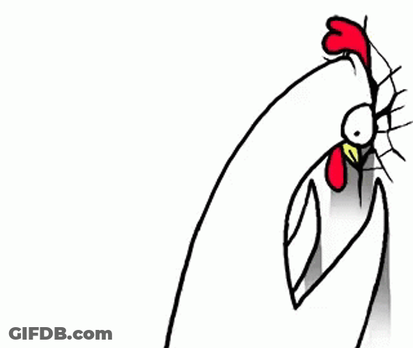 Banging Head Against Wall Chicken Chickenbro GIF