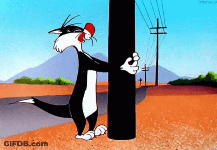 Banging Head Against Wall Sylvester Bugs Bunny GIF