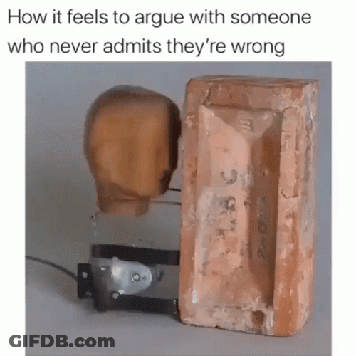 Banging Head Against Wall Wooden Structure GIF