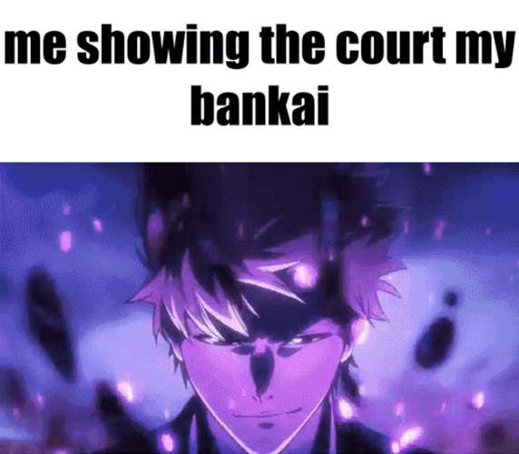Bankai Bleach Anime GIF