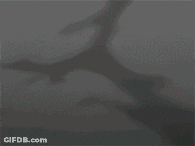 Bankai Bleach Power Anime Character GIF