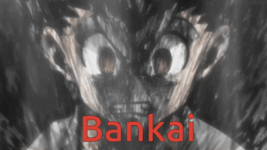 Bankai Hunter X Hunter Anime GIF
