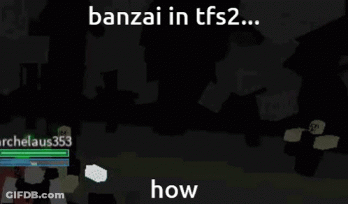 Banzai TFS2 How Video Game GIF