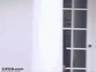 Barack Obama Door GIF