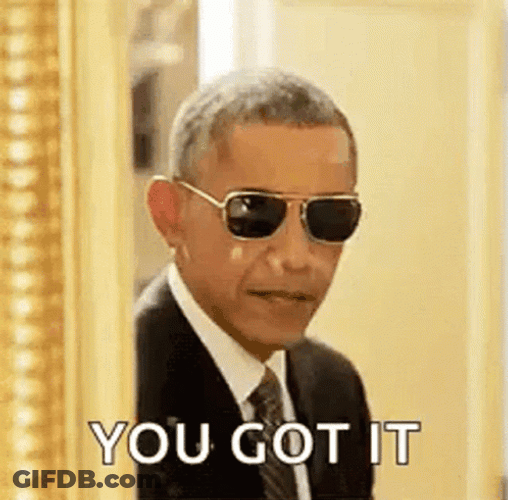 Barack Obama You Got It GIF
