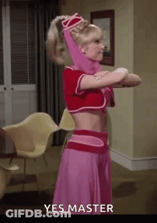 Barbara Eden Yes Master GIF