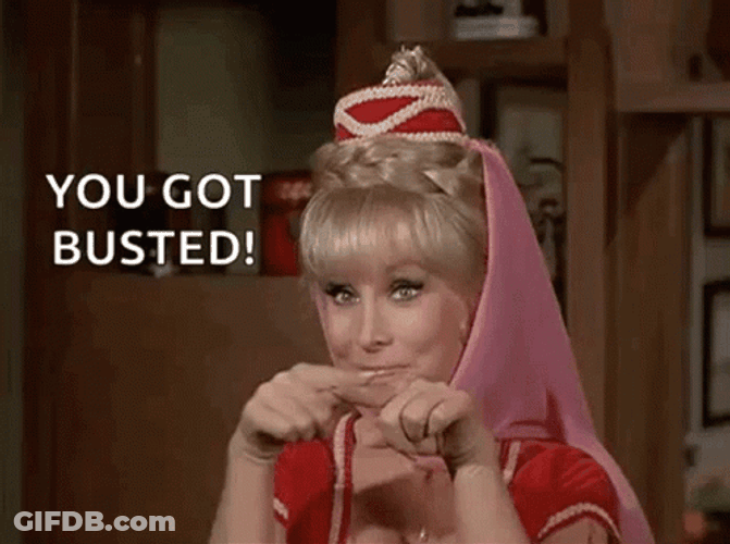 Barbara Eden You Got Busted GIF