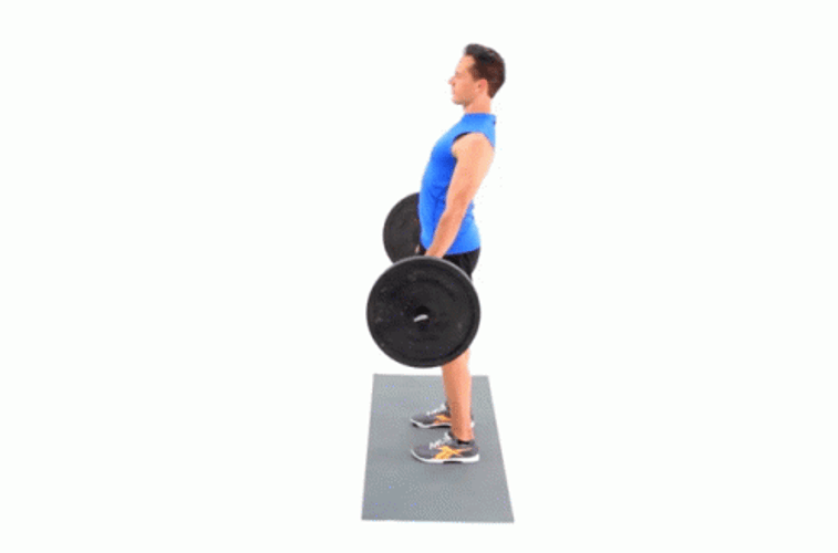 Barbell Deadlift Form Technique Tutorial GIF