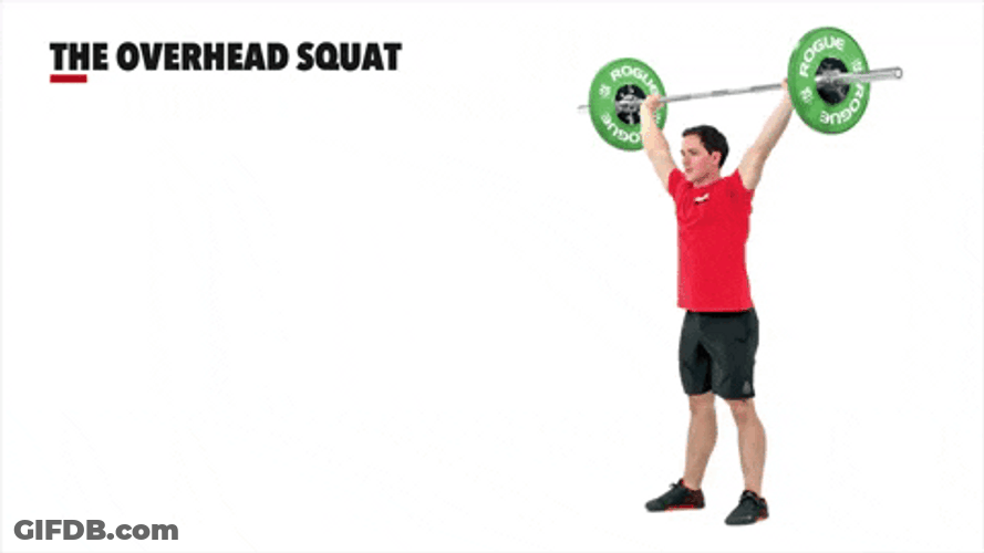 Barbell Row The Overhead Squat Technique GIF