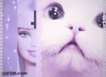 Barbie Doll And White Cat On Purple Background GIF