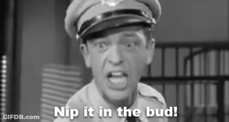 Barney Fife Screaming GIF