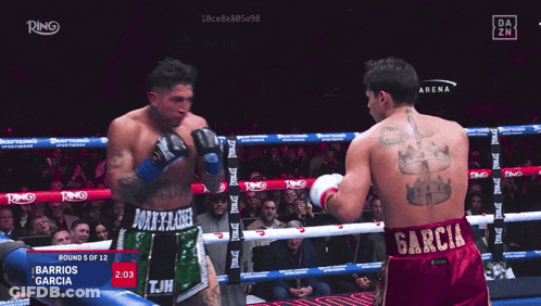 Barrios Garcia Boxing Match GIF