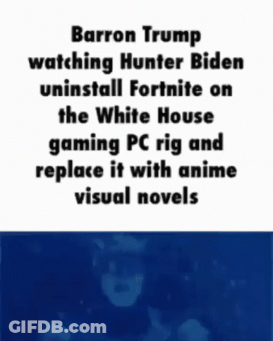 Barron Trump Watches Hunter Biden Swap Fortnite For Anime GIF