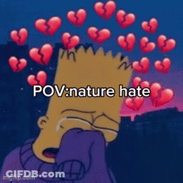 Bart Simpson Is Crying With Broken Hearts In The Background And The Caption Pov Nature Hate GIF