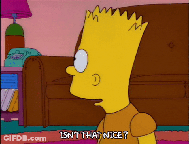 Bart Simpson Isn't Thats Nice GIF