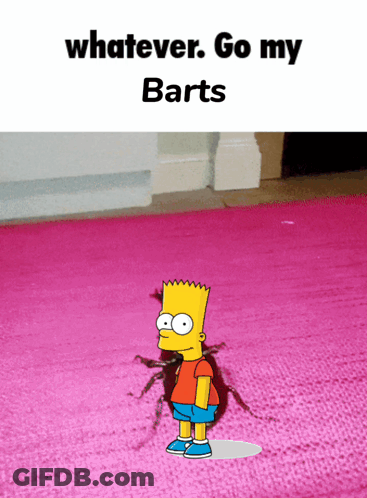 Bart Simpson Pink Rug Whatever Go My Barts GIF