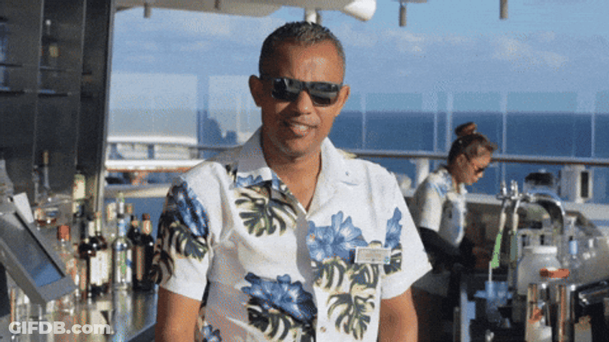 Bartender On Booze Cruise GIF