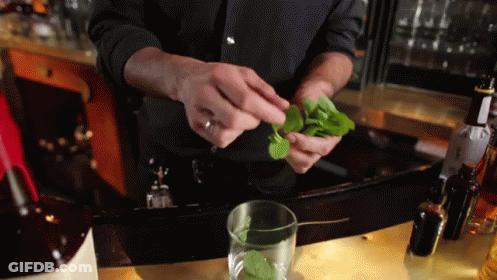 Bartender Preparing Mint Drink GIF