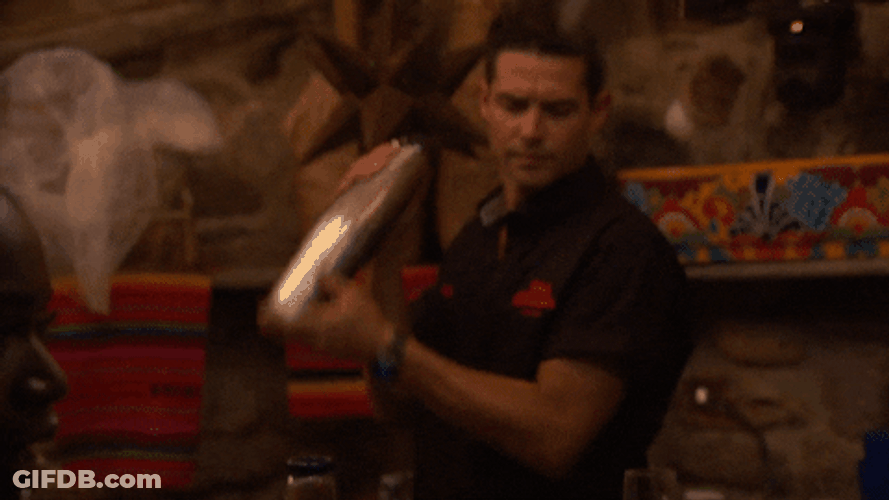 Bartender Shaking Bottle Bars GIF