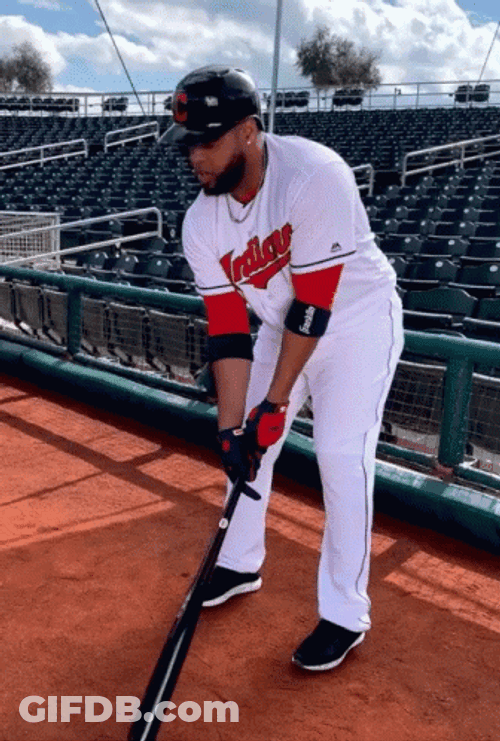 Baseball Bat Hit Practice GIF
