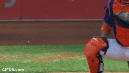 Baseball Catcher Catches Ball In Front Of Ylenia Banner GIF