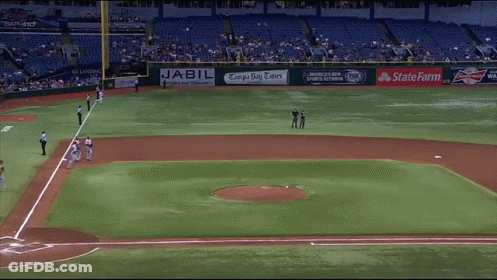 Baseball Field Advertising Jabil, Tampa Bay Times, Budweiser GIF