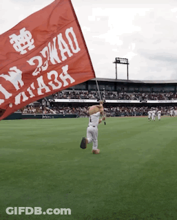 Baseball Field Mascot Holding Flag Saying 2Wao GIF