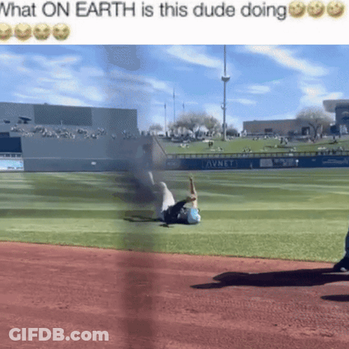 Baseball Field Person Laying What On Earth GIF