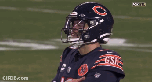 Baseball Field With BearsWin GIF