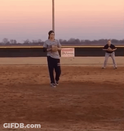Baseball Field With SD Sign GIF