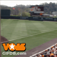 Baseball Field With Vox Logo GIF