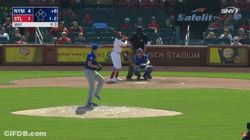 Baseball Game At Busch Stadium Score 1-2 GIF