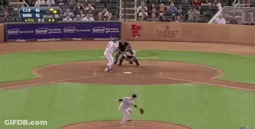 Baseball Game At Target Field GIF