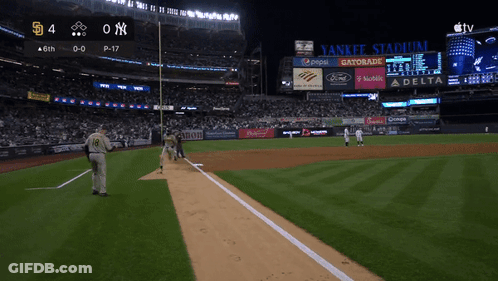Baseball Game At Yankee Stadium GIF