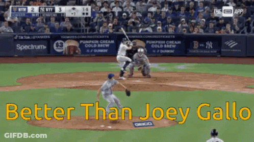 Baseball Game Better Than Joey Gall GIF