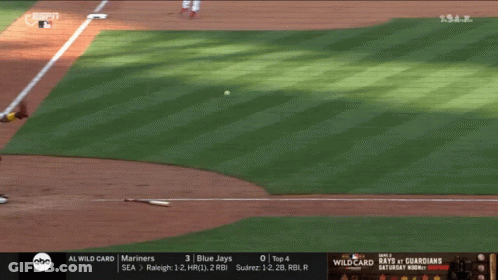 Baseball Game Between Mariners And Rays GIF