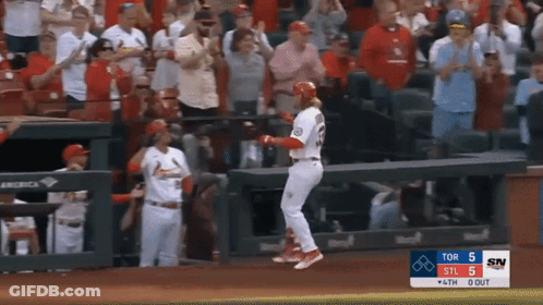 Baseball Game Between Toronto And St. Louis GIF