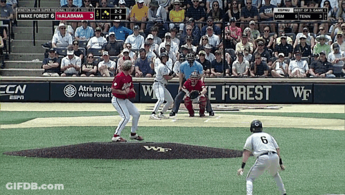 Baseball Game Between Wake Forest And USM GIF