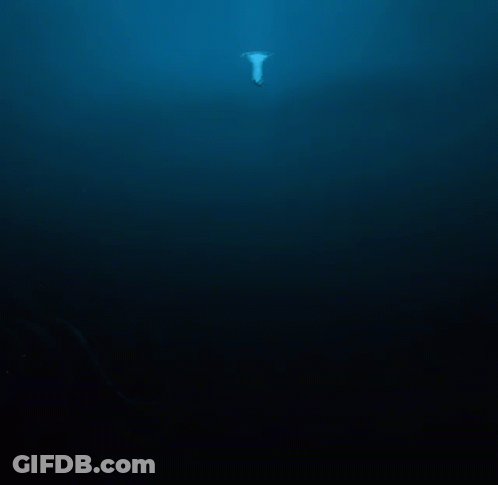 Baseball Game Broadcast On ESPN At Night GIF