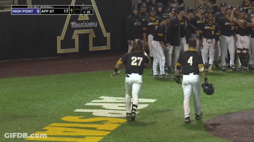 Baseball Game High Point Vs App State GIF