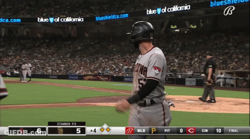 Baseball Game In Blue Shield Stadium GIF